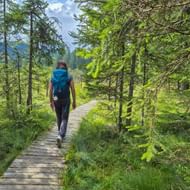 Wandelaar met blauwe rugzak op houten pad door Pokljuka-hoogveen in de Julische Alpen, omringd door naaldbomen en gras.