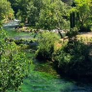 Kristalhelder smaragdgroen water stroomt door weelderig bos in Luberon, Vaucluse. Dichte vegetatie en bomen omringen de natuurlijke bron.