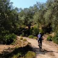 Fietser rijdt op onverharde weg door mediterraan landschap met olijfbomen en dichte begroeiing in Zuid-Albanië.
