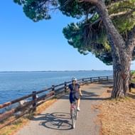 Vrouwelijke fietser op verharde kustweg langs Grado Lagune met houten reling, grote pijnboom en kalm blauw water onder heldere hemel.