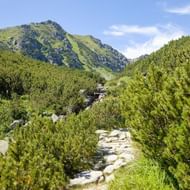 Stenen wandelpad door groene dennenstruiken naar bergtoppen in het Tatra-gebergte, Slowakije, onder blauwe lucht met witte wolken.