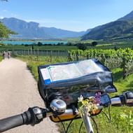 Uitzicht vanaf fietsstuur met kaarthouder op geasfalteerd fietspad door wijngaarden, met meer en bergen op de achtergrond.