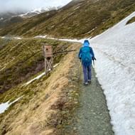 Wandelaar in blauwe jas op smal bergpad tussen sneeuwvelden in Hohe Tauern. Houten uitkijkplatform zichtbaar op helling.