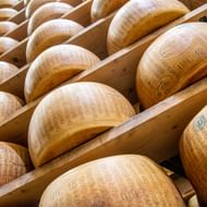 Rijen Parmigiano Reggiano kaaswielen rijpend op houten planken in Parma. Elke wiel toont gestempelde markeringen met productiedatums.