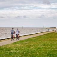 Twee fietsers rijden langs een verharde kustweg naast de Noordzee bij Harlesiel, met groen gras en strandkuipen zichtbaar.