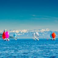 Zeilboten met kleurrijke spinnakers varen op het Bodenmeer met besneeuwde Alpen op de achtergrond onder een blauwe lucht.