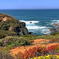 Ruige Portugese kust met rotsachtige kliffen boven de Atlantische Oceaan. Kleurrijke wilde bloemen bloeien op de voorgrond.
