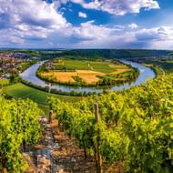 Wijngaardrijen op voorgrond met uitzicht op Neckar-lus bij Mundelsheim. Stad en velden zichtbaar in rivierbocht onder blauwe lucht.