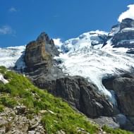 Blüemlisalp gletsjer stroomt over rotsachtige bergwanden in de Berner Alpen. Groene alpenvegetatie bedekt de voorgrondshelling.
