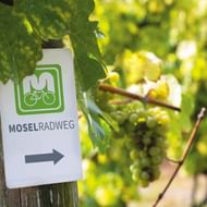 Wit richtingbord voor Moezel fietsroute aan houten paal, met groene druiven en wijnbladeren op de achtergrond.