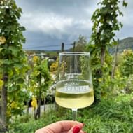 Hand met witte wijnglas in wijngaard in Piesport aan de Moezel. Groene wijnstokken op voorgrond, dorp en heuvels op achtergrond onder bewolkte lucht.