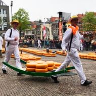 Twee mannen in witte uniformen en gele hoeden dragen kaaswielen op groene houten dragers op Alkmaars traditionele kaasmarkt.