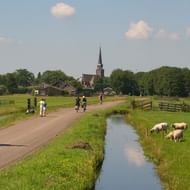 Fietsers op landweg in Noord-Holland Fietsers rijden op verharde weg naast kanaal met grazende schapen in Noord-Hollands landschap. Kerktoren en dorp zichtbaar op achtergrond.