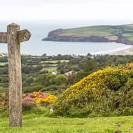 Verweerde stenen kruis op grasachtige heuvel met gele bremstruiken, uitkijkend over de kust van Pembrokeshire in Wales.