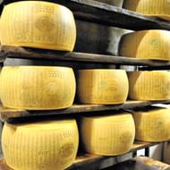 Meerdere wielen Parmakaas met merkstempels rijpen op donkere houten planken in een opslagfaciliteit in Emilia, Italië.