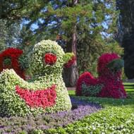 Bodensee-Bodenmeer-Bloemeneiland-Mainau