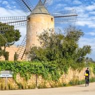 Fietser op een landweg langs een traditionele stenen molen op Mallorca. Groene begroeiing bedekt een stenen muur, met bomen en blauwe lucht.