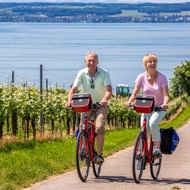 Twee fietsers op rode fietsen rijden door wijngaarden met het Bodensee en glooiend landschap op de achtergrond.