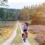 Vrouw fietst op zandpad door paars heidelandschap in Nationaal Park De Veluwe met warm zonlicht en bos op de achtergrond.