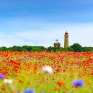 Klaprozen veld met vuurtorens op Rügen Levendig rood klaprozen veld met blauwe korenbloemen op Rügen. Twee vuurtorens zichtbaar op achtergrond tussen groene bomen onder blauwe lucht.