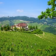 Glooiende heuvels bedekt met groene wijngaarden in Piemonte, Italië. Een modern wijngebouw staat tussen de wijnstokken met beboste heuvels op de achtergrond.