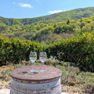 Twee lege wijnglazen op een houten vat in een Sloveense wijngaard bij Stanjel, met groene wijnstokken en beboste heuvels onder blauwe lucht.