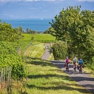 Drie fietsers rijden door wijngaarden bij Meersburg met Bodensee zichtbaar op de achtergrond onder blauwe lucht.