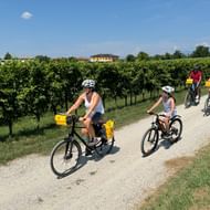 Vier fietsers met gele fietstassen op een grindpad tussen groene wijnstokken in Pradamano onder een blauwe hemel.