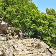 Drie wandelaars lopen op een rotsachtig stenenppad op de Eppaner Höhenweg, omringd door weelderig groen bos onder blauwe hemel.