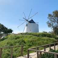 Witte traditionele windmolen met houten wieken op groene heuvel, bereikbaar via houten loopbrug met leuningen. Bomen en dorpshuizen zichtbaar.