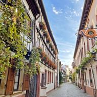 Geplaveide steeg in Neustadt omzoomd door traditionele vakwerkhuizen, bloembakken en groene ranken onder een blauwe hemel.
