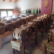 Rijen houten vaten met witte kanten doekjes in een traditionele azijnkelder in Emilia, Italië. Groene flessen op planken boven de vaten.