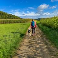 Vrouw met blauwe rugzak wandelt met hond op zandpad tussen maisvelden bij Treuchtlingen, Altmühltal, onder blauwe lucht met wolken.