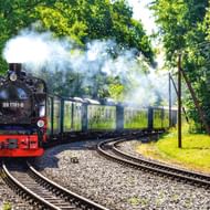 Zwarte stoomlocomotief 99 1781-8 trekt groene passagiersrijtuigen door weelderig bos op Rügen. Witte stoom stijgt op.