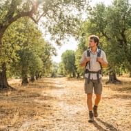 Mannelijke wandelaar met rugzak op zandpad door olijfgaard in Apulië. Oude olijfbomen langs het zonnige pad.