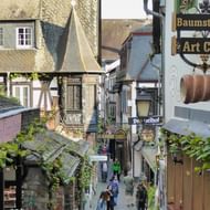 Smalle geplaveide straat in Drosselgasse, Rüdesheim met traditionele Duitse gebouwen en sierlijke winkeluithangborden.