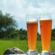 Twee witbieren in hoge glazen buiten Twee hoge witbierglazen met gouden bier en witte schuimkraag op een tafel buiten, met groene velden en bomen op de achtergrond.