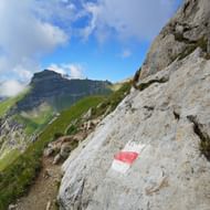 Rotsmarkering op wandelpad in Liechtenstein Rood-witte wegmarkering op grijze kalksteen in de bergen van Liechtenstein met groen alpenlandschap en bewolkte lucht op de achtergrond.