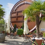 Groot vatvormig gebouw met opschrift 'Deidesheimer Riesen', buitenterras, palmbomen en geparkeerde fietsen op een zonnige dag.