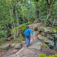 Wandelaar met blauwe rugzak en wandelstokken op rotsachtig pad door dicht bos op de Malerweg in Saksisch Zwitserland.
