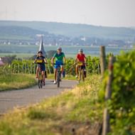Drie fietsers rijden op verharde weg tussen wijngaarden in de Palts. Heuvels, dorpen en windturbines zichtbaar op achtergrond.