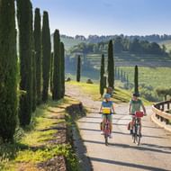 Twee fietsers rijden op een weg omzoomd door hoge cipressen in Toscane, met glooiende heuvels en wijngaarden op de achtergrond.