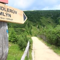 Houten richtingbord naar Spindleruv Mlyn op een wandelpad door groene beboste bergen met een zandpad dat naar beneden slingert.