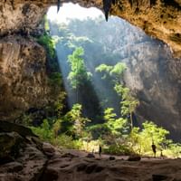 Uitzicht vanuit een grote grot op Terceira, Azoren, met een natuurlijke opening waar zonlicht doorheen schijnt en groene vegetatie verlicht.