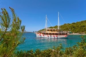 id-ms-dalmatino-kroatie