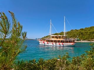 id-ms-dalmatino-kroatie