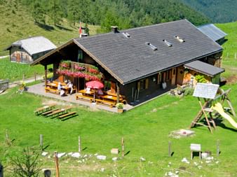 Traditionele houten berghut met bloembakken op terras, omgeven door groene weiden en beboste bergen in het Salzkammergut.