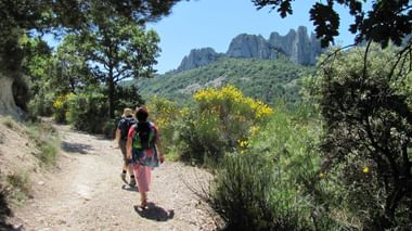 Twee wandelaars met rugzakken lopen op een zandpad door mediterrane vegetatie met Mont Ventoux's rotsachtige toppen op de achtergrond.
