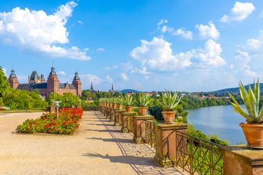Terras met potplanten en rode bloemen met uitzicht op Slot Johannisburg en de Main in Aschaffenburg onder een blauwe hemel.