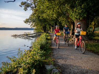 Drie fietsers met helmen en gele tassen rijden langs een met bomen omzoomd oeverpad bij zonsondergang, met kalm water links zichtbaar.